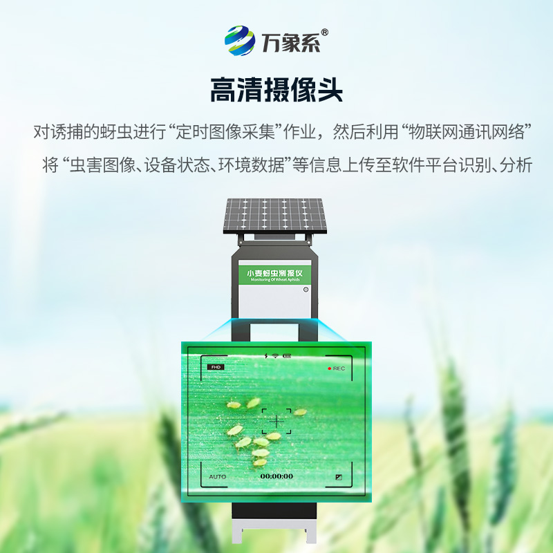 小麥蚜蟲在線監測系統